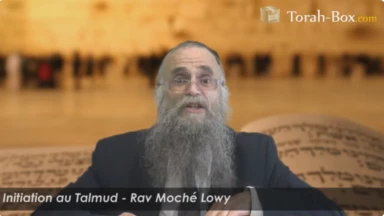Initiation au Talmud en 20 leçons avec Rav Lowy !