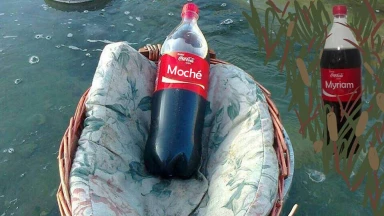 Insolite : Myriam sauve Moché dans un panier (version Coca Cola)