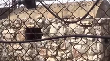 Pèlerinage à haut risque de la tombe du Rav Achi à la frontière libanaise