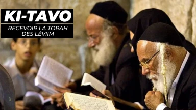 Ki-Tavo : comment recevoir la Torah des Léviim ?
