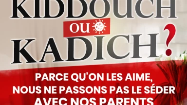 Restez seuls à la maison pour Pessa’h : des médecins juifs du monde entier se mobilisent
