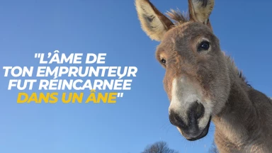 "L’âme de ton emprunteur fut réincarnée dans un âne" (Rav Kanievsky)