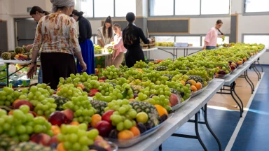 Le succès retentissant de notre opération de colis alimentaires pour Chavouot !
