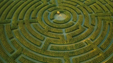 Pourquoi un Rav déciderait-il toujours pour moi ?