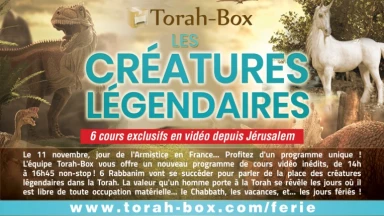 "Les Créatures Légendaires” : programme spécial de cours, aujourd'hui à partir de 14h !