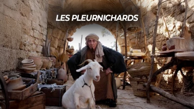 Les pleurnichards