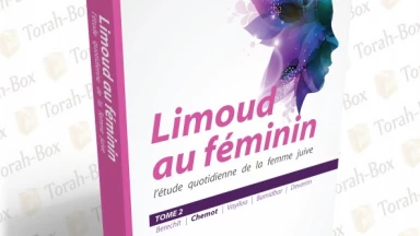 Tome 4 de Limoud au Féminin, paru !