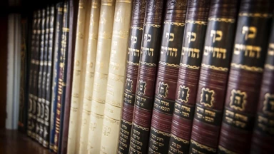 Pirké Avot 2, 11 (septième partie) : Sinat Habriot