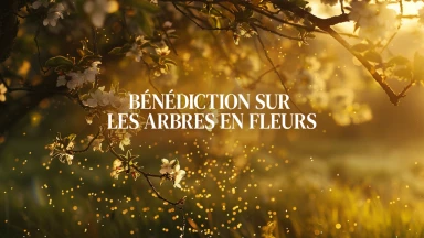 Lois de Birkat Ilanot : bénédiction sur les arbres en fleurs