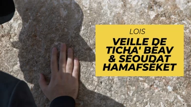 Lois : veille de Ticha' Béav & Séoudat Hamafséket
