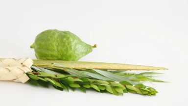 Souccot : les 4 espèces, la Soucca et le bonheur collectif d’être avec D.ieu