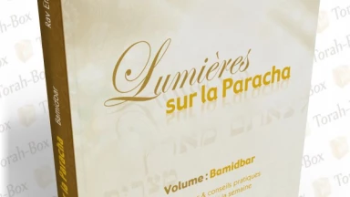 Nouveau livre : Lumières sur Bamidbar !