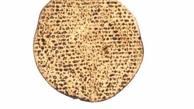 Histoire - Le renoncement d’un rescapé de la Shoah