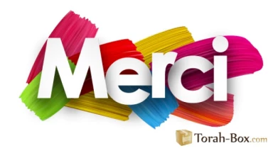 Témoignage : "Torah-Box, vous m’avez donné envie de vivre une vie de Torah"