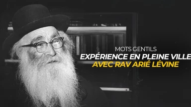 Mots gentils - Expérience en pleine ville avec Rav Arié Lévine