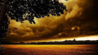 Vayé’hi - Comment éradiquer l'origine de nos fautes ?