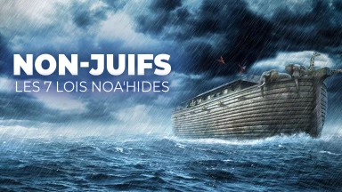Non-juifs - Les 7 lois noa'hides