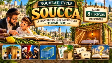 'Amoud Yomi - Ce Lundi, nous débutons l'étude du traité "Soucca" !
