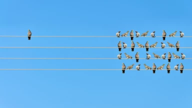 La reconnaissance, cette épée à double tranchant