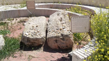 Avis de recherche : 7 tombes vont être "libérés"