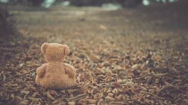 Hachavat Avéda : Restituer des objets perdus (quatrième partie)