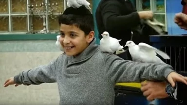 "Une lettre pour vous de la part de l'Orphelinat Zion de Jerusalem"