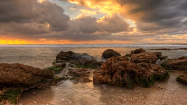 Machal : pourquoi sommes-nous friands de paraboles ?