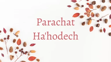 Parachat Ha'hodech : 10 choses à savoir pour Chabbath !