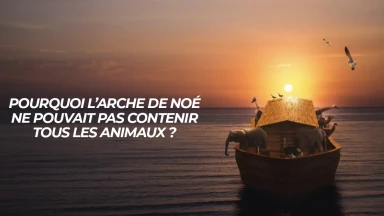 Paradoxe dans la Torah - Pourquoi l’arche de Noé ne pouvait pas contenir tous les animaux ?