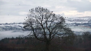 Behar - 2 qualités : émouna & 'hessed