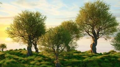 Tou Bichvat or not to be !