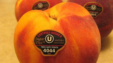 5 questions-réponses... bra'hot de fruits et légumes