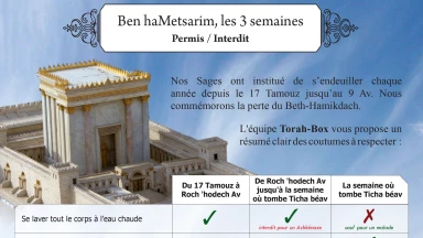 Tableau - Permis & Interdit pendant les "3 semaines"