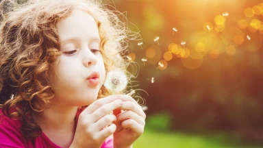 En l'honneur de Tou Bichvat, une idée florale !