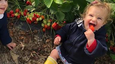 Tou Bichvat : la sève de la vie