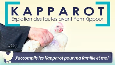 Réservez vos Kapparot en ligne avant Kippour !