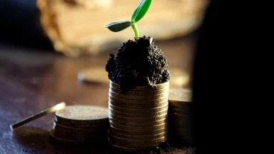 Histoire - Une richesse bien gardée