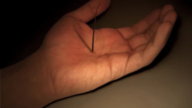 Histoire : "Lorsque des poils pousseront sur ma main, je ferai Techouva"