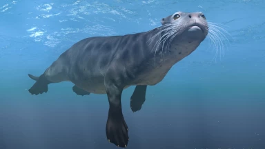 Faune & flore : qui a créé ces milliards "d'heureuses coïncidences" ?