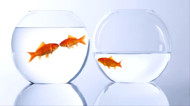 La Mercedes du voisin : stop à la Jalousie