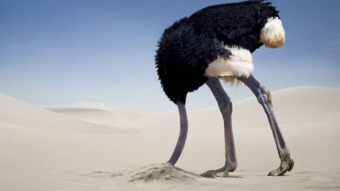 Le déni et ses conséquences