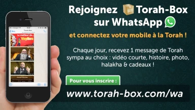 Torah-Box évolue sur Whatsapp : (ré)inscrivez-vous !