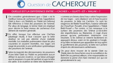 Différence entre : « Cacher », « Glatt » et « 'Halak »