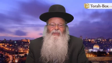 Nouveauté cette année : le cours sur la Haftara de la semaine par Rav Uzan !