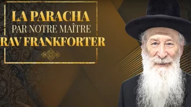 Exclusif : cours hebdomadaire de notre maître Rav Frankforter sur la Paracha !