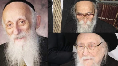 Disparition de trois géants de la Torah : Rav Soloveitchik, Rav Twerski et Rav Scheiner