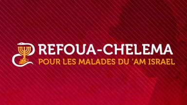 Utile : l'application Réfoua Chelema sur smartphone !