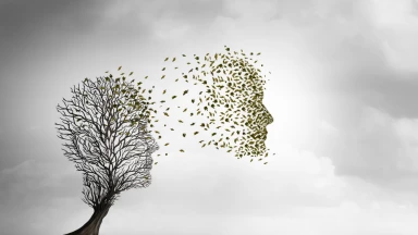 Bamidbar – Les réincarnations et leurs applications pratiques