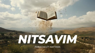 Résumé de la Paracha et de la Haftara de Nitsavim