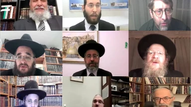 Réunion Zoom entre le grand-rabbin d’Israël, les Dayanim et Rabbanim de France à l'initiative du grand-rabbin de France
